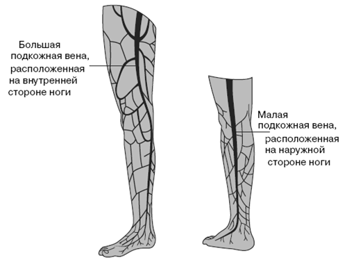 Все о здоровье ваших ног. От младенчества до старости - pic_3.png