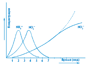 Аквариум в вопросах и ответах - i_039.png