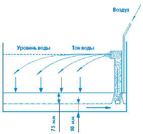 Аквариум в вопросах и ответах - i_040.png