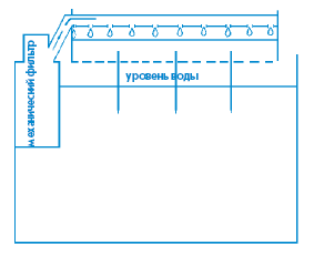 Аквариум в вопросах и ответах - i_044.png