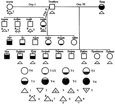 Эволюционно-генетические аспекты поведения: избранные труды - i_036.png