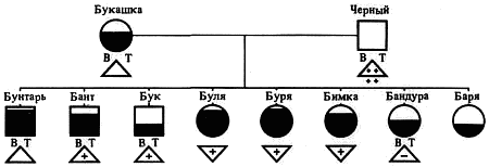 Эволюционно-генетические аспекты поведения: избранные труды - i_037.png