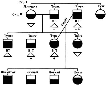 Эволюционно-генетические аспекты поведения: избранные труды - i_038.png