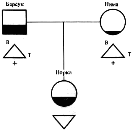 Эволюционно-генетические аспекты поведения: избранные труды - i_041.png