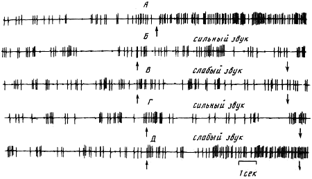 Эволюционно-генетические аспекты поведения: избранные труды - i_072.png
