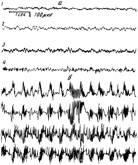 Эволюционно-генетические аспекты поведения: избранные труды - i_076.png