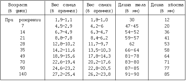 Декоративные мыши и крысы - i_018.png