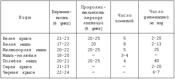 Декоративные мыши и крысы - i_023.png