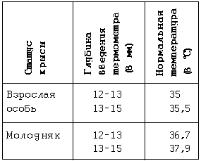 Декоративные мыши и крысы - i_043.png