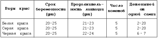 Декоративные мыши и крысы - i_051.png