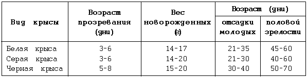 Декоративные мыши и крысы - i_053.png