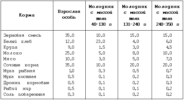 Декоративные мыши и крысы - i_057.png