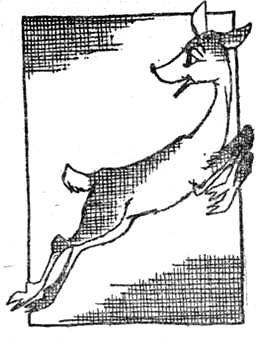 Охотники за черепами - i_033.jpg