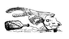 Куда жить - _11.jpg