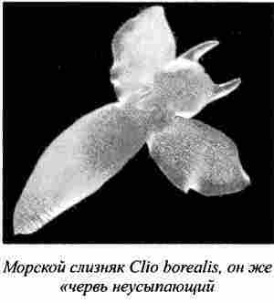 Неведомые земли и народы Севера[Без иллюстраций] - i_028.jpg