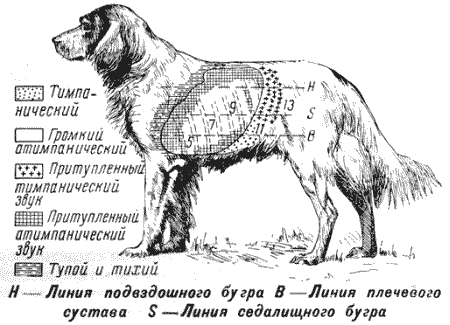 Болезни собак  - i_011.png