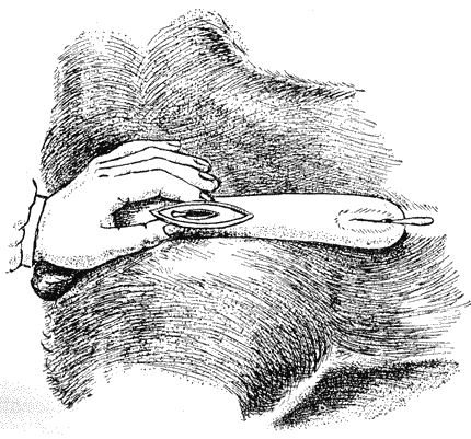 Болезни собак  - i_106.png