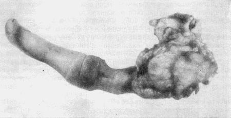 Болезни собак  - i_108.jpg