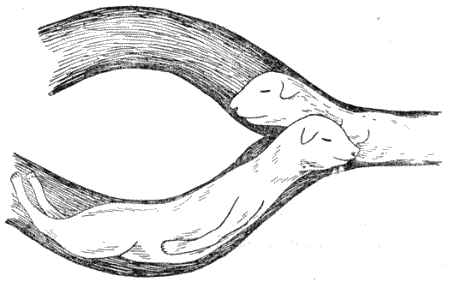 Болезни собак  - i_142.png