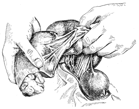 Болезни собак  - i_144.png