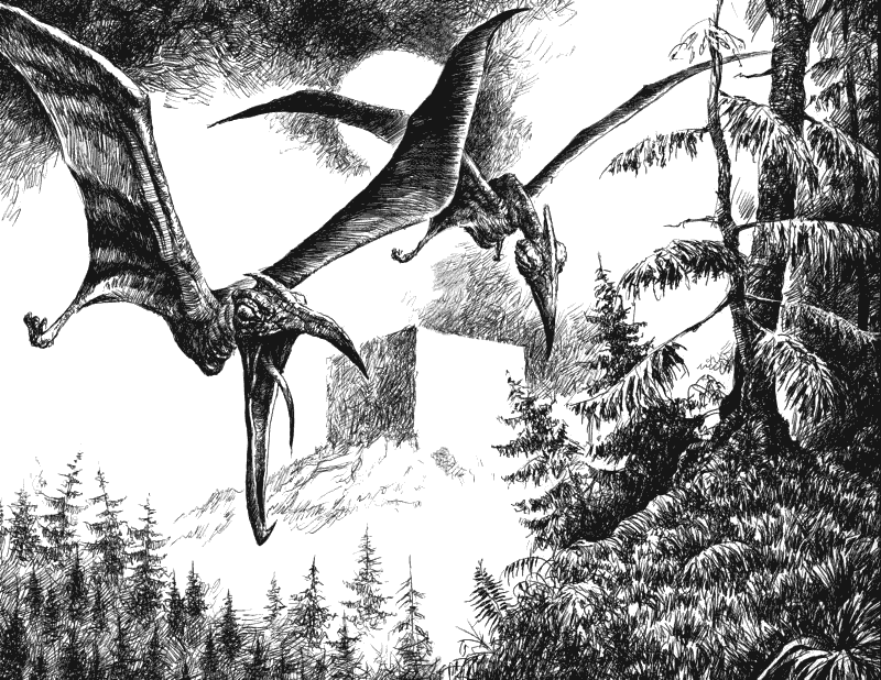 Черный призрак - i_002.png