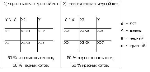 Генетика - _0.jpg_0