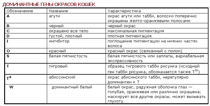 Генетика - _2.jpg_0