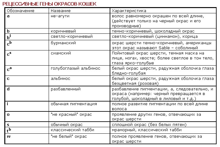Генетика - _3.jpg_0