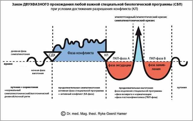 Новая Немецкая Медицина. Пять биологических законов - i_011.jpg