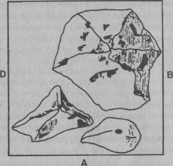 Психология развития: методы исследования - img_31.jpeg