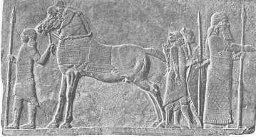 Древние цивилизации - i_189.jpg