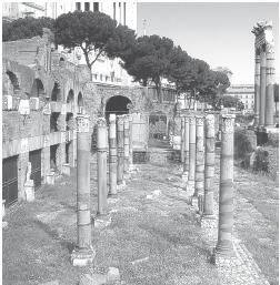 Древний Рим - i_217.jpg