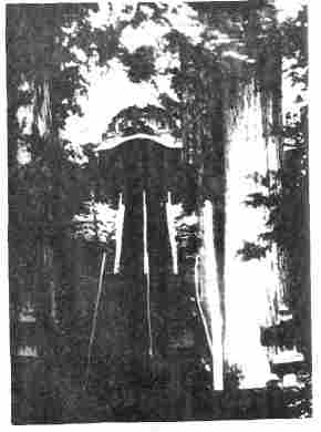 Рожденные во тьме - i_008.jpg