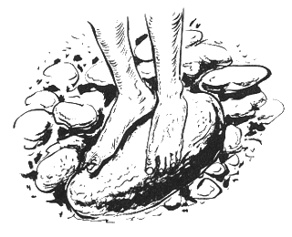 Небесные тихоходы - i_022.png