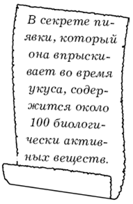 Диабет. Лучшие рецепты народной медицины от А до Я - pic_25.png