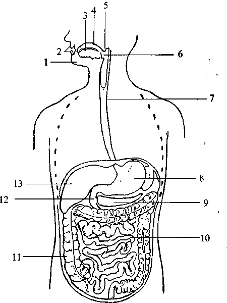 Диабет. Мифы и реальность - i_005.png