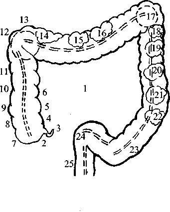 Диабет. Мифы и реальность - i_006.png