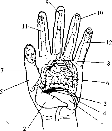 Диабет. Мифы и реальность - i_019.png