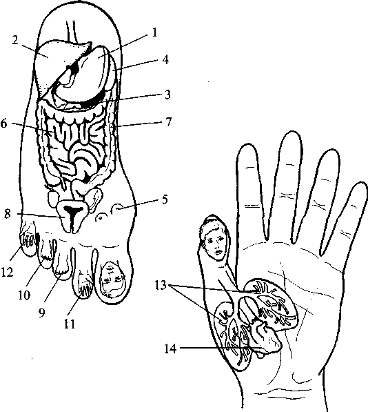 Диабет. Мифы и реальность - i_020.png