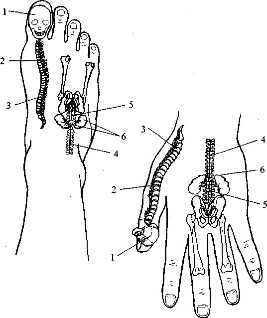 Диабет. Мифы и реальность - i_021.png