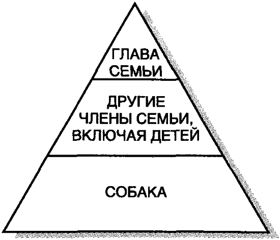 Ненаправленная анималотерапия. Позитивные и негативные аспекты взаимодействия с собакой у детей и взрослых - i_003.png