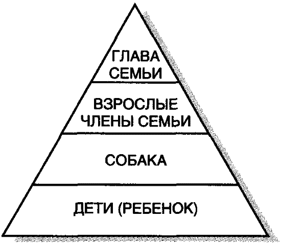 Ненаправленная анималотерапия. Позитивные и негативные аспекты взаимодействия с собакой у детей и взрослых - i_004.png