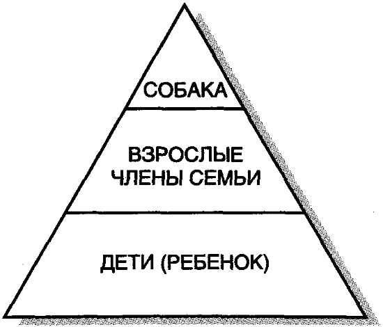 Ненаправленная анималотерапия. Позитивные и негативные аспекты взаимодействия с собакой у детей и взрослых - i_005.png