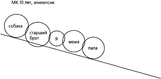 Ненаправленная анималотерапия. Позитивные и негативные аспекты взаимодействия с собакой у детей и взрослых - i_012.png