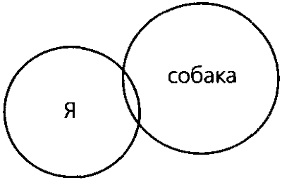 Ненаправленная анималотерапия. Позитивные и негативные аспекты взаимодействия с собакой у детей и взрослых - i_019.png