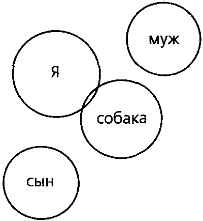 Ненаправленная анималотерапия. Позитивные и негативные аспекты взаимодействия с собакой у детей и взрослых - i_020.png