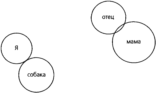 Ненаправленная анималотерапия. Позитивные и негативные аспекты взаимодействия с собакой у детей и взрослых - i_028.png