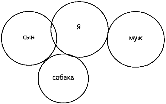Ненаправленная анималотерапия. Позитивные и негативные аспекты взаимодействия с собакой у детей и взрослых - i_030.png