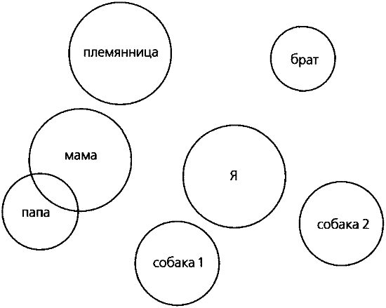 Ненаправленная анималотерапия. Позитивные и негативные аспекты взаимодействия с собакой у детей и взрослых - i_035.png