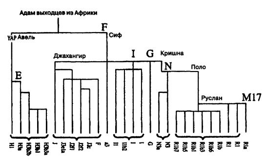Изгнание из Эдема - fig21a.jpg